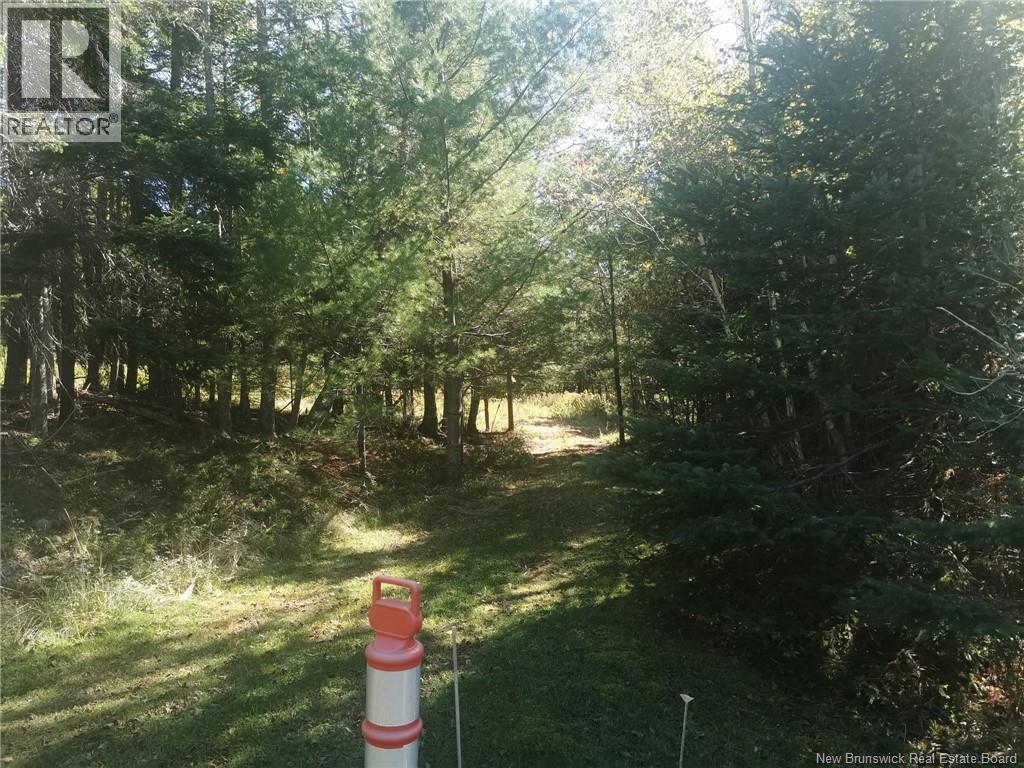 32 Moran Lane Property Photo 4