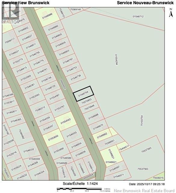 26 & 28 Murray Avenue Property Photo 5