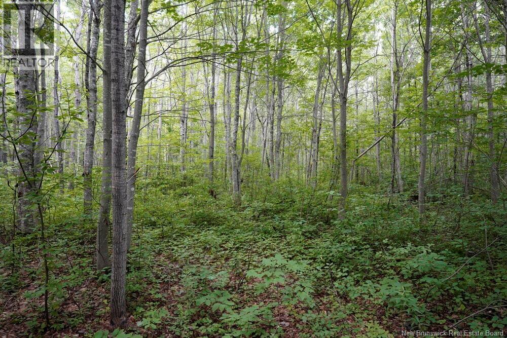 5716 Rte 495 Property Photo 6