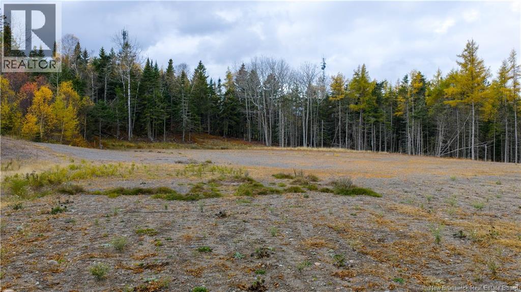 Route 172 Property Photo 3