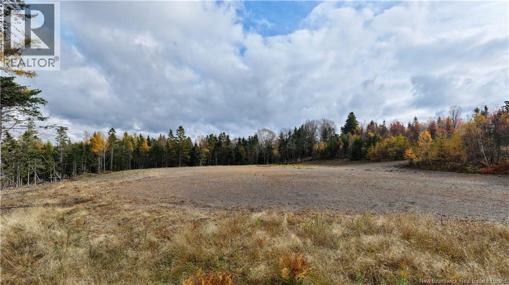 Route 172 Property Photo 4