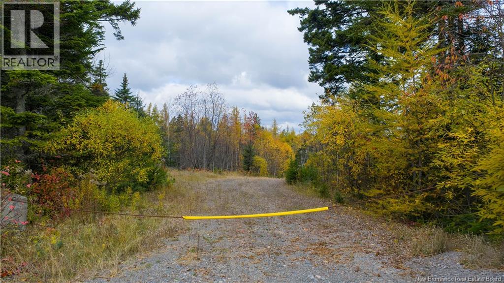 Route 172 Property Photo 13