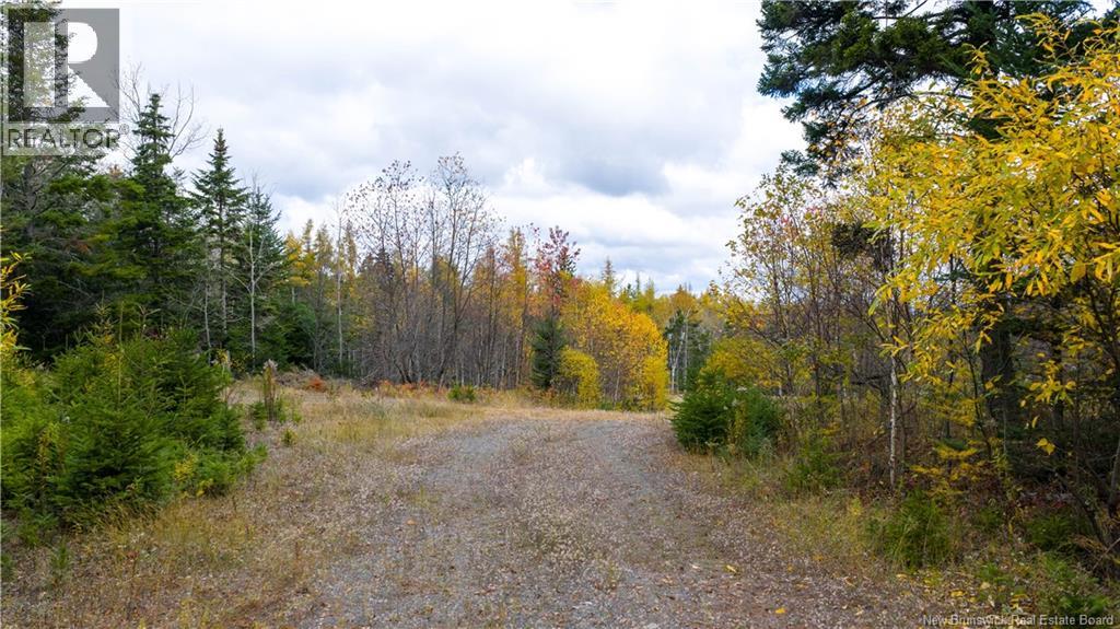 Route 172 Property Photo 14