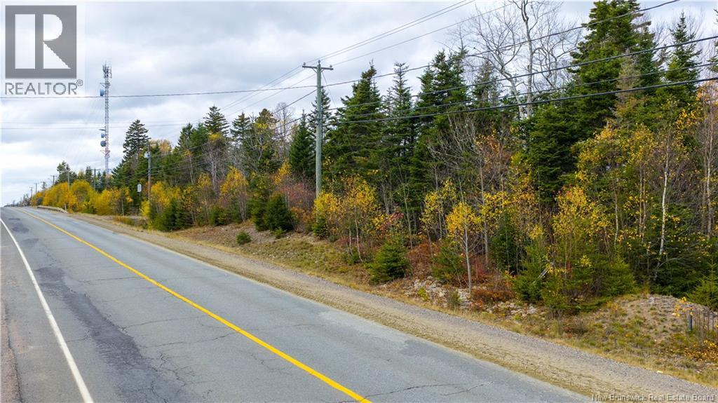 Route 172 Property Photo 15