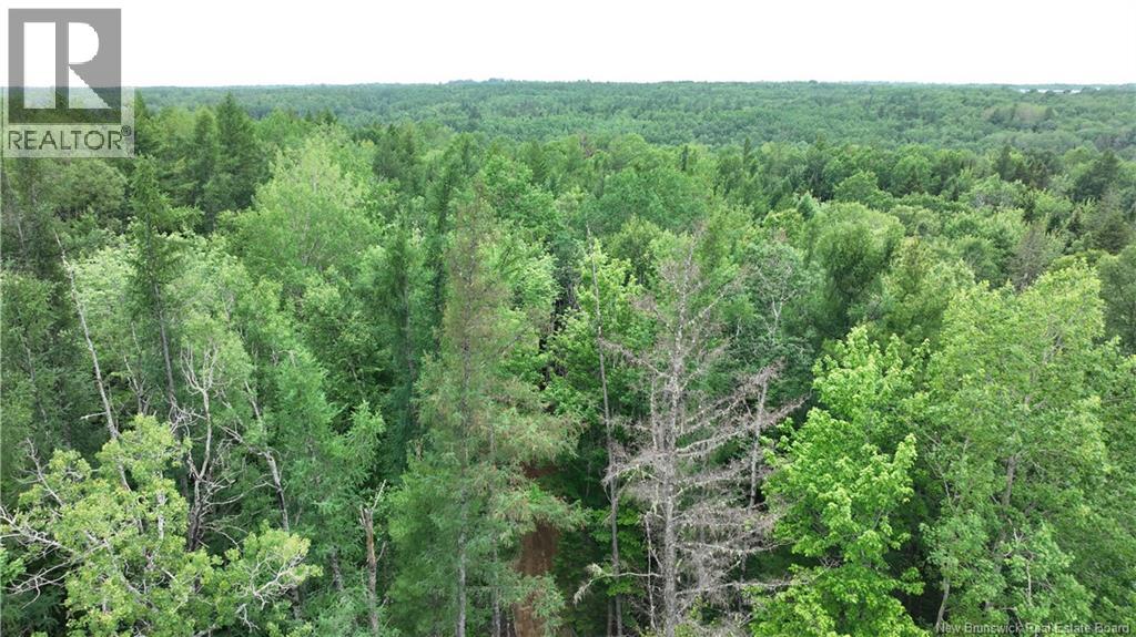0 Tucker Lane Property Photo 2