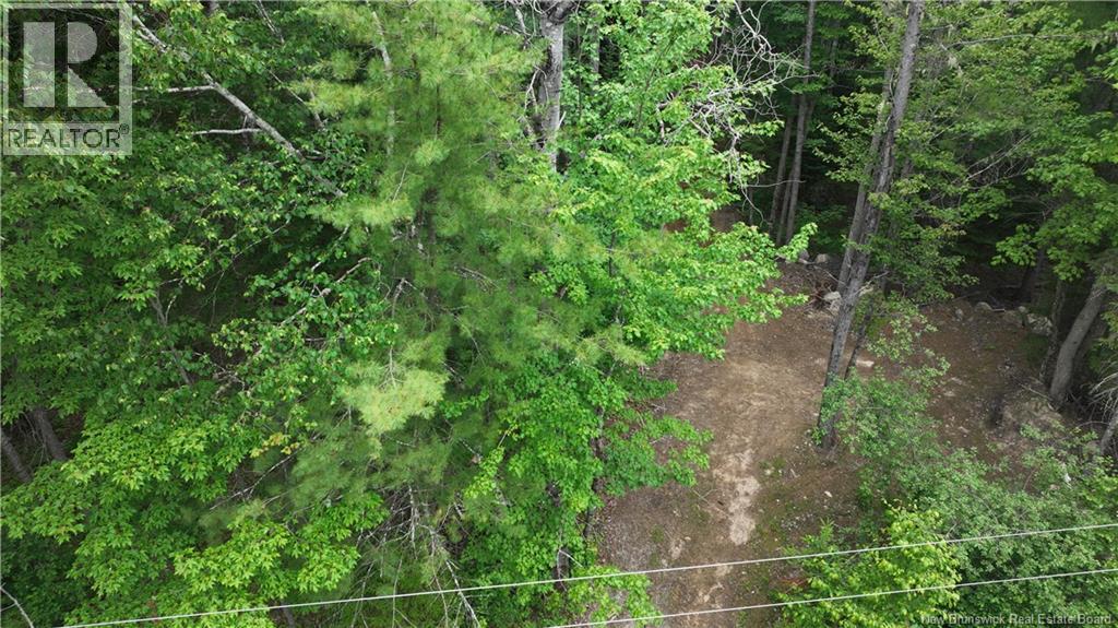 0 Tucker Lane Property Photo 3