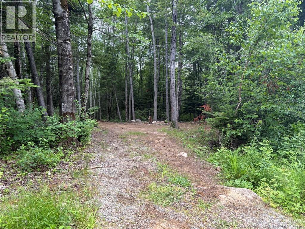 0 Tucker Lane Property Photo 9