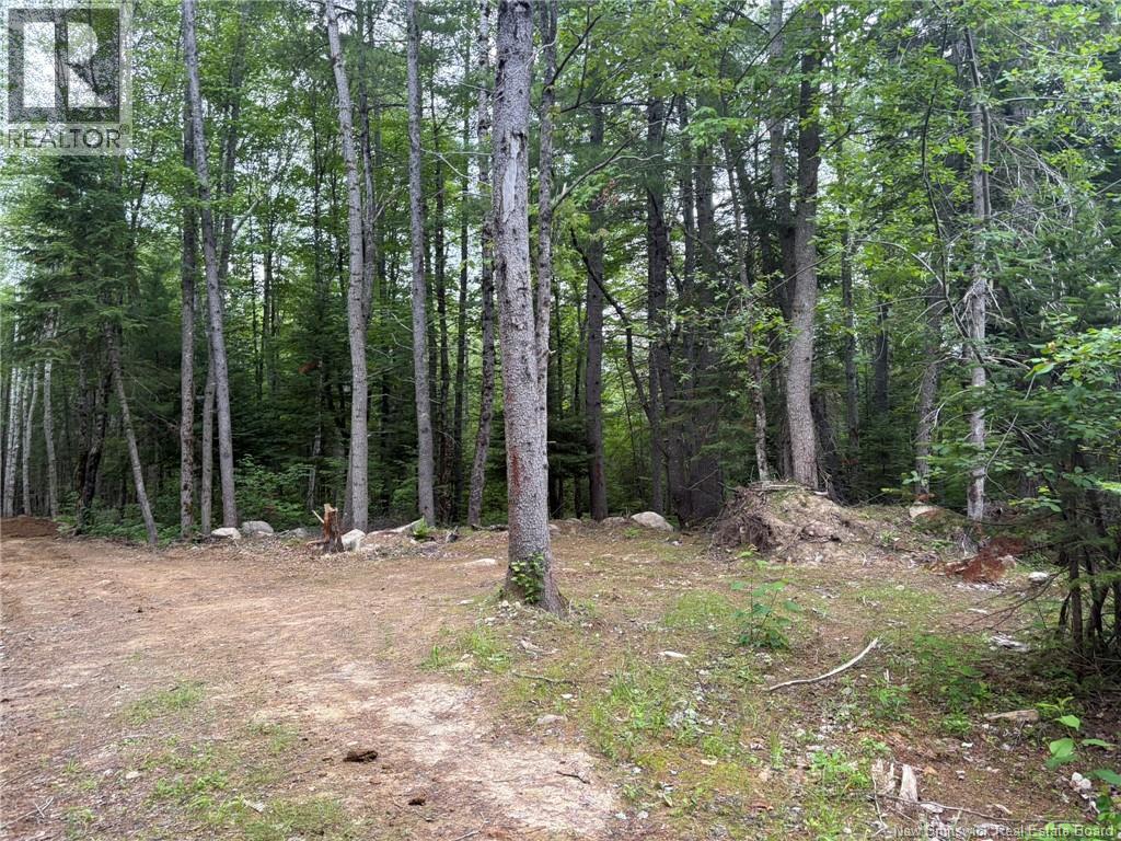 0 Tucker Lane Property Photo 10