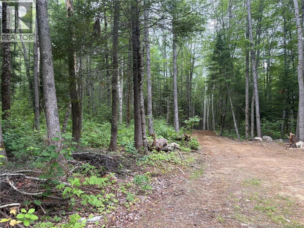 0 Tucker Lane Property Photo 11