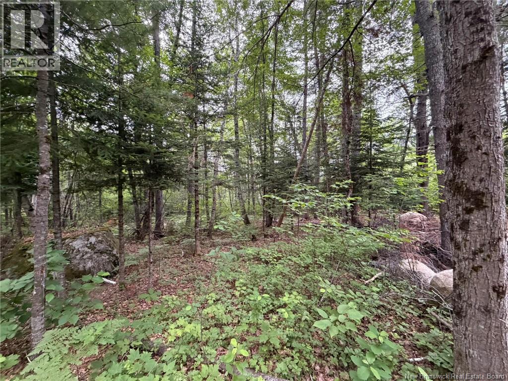 0 Tucker Lane Property Photo 15