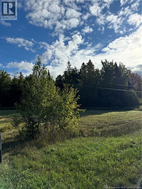 Vacant Lot Kouchibouguac Route 134 Property Photo 3