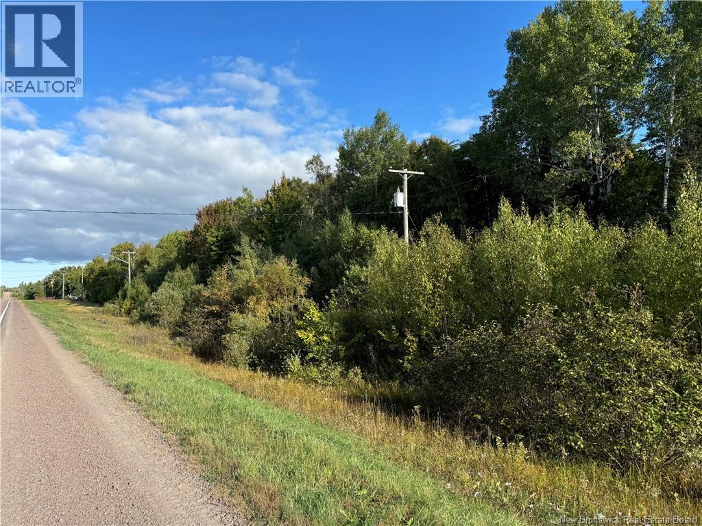 Vacant Lot Kouchibouguac Route 134 Property Photo 5