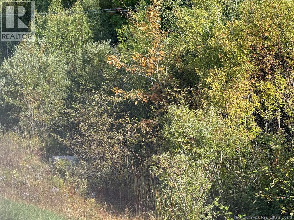 Vacant Lot Kouchibouguac Route 134 Property Photo 6