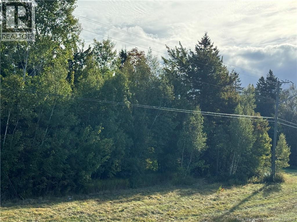 Vacant Lot Kouchibouguac Route 134 Property Photo 7