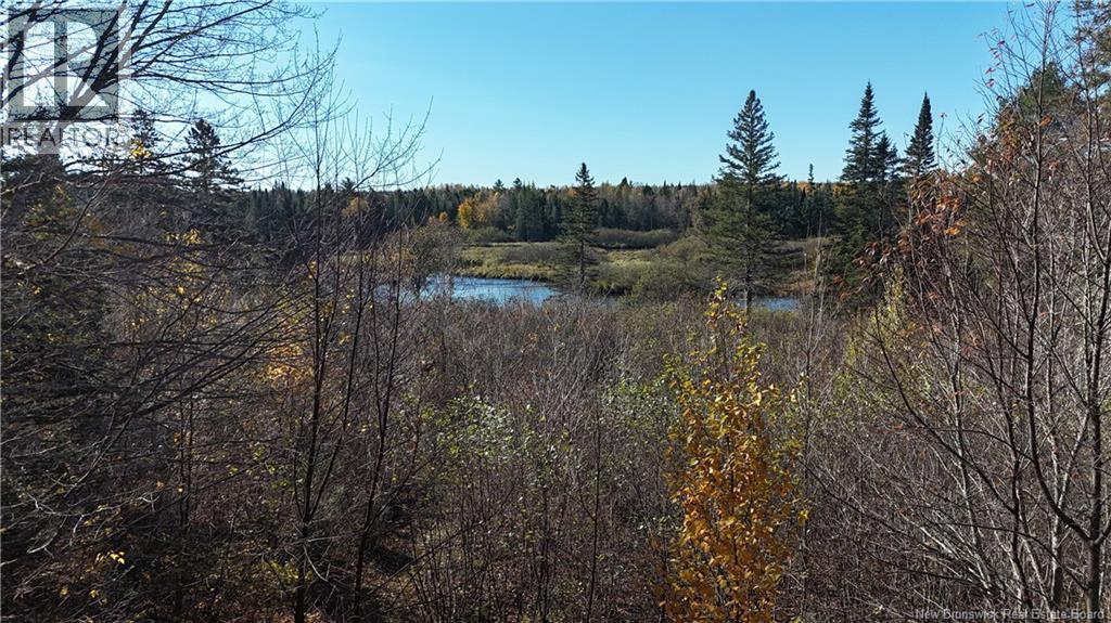 92-5 Loon Bay Road Property Photo 21