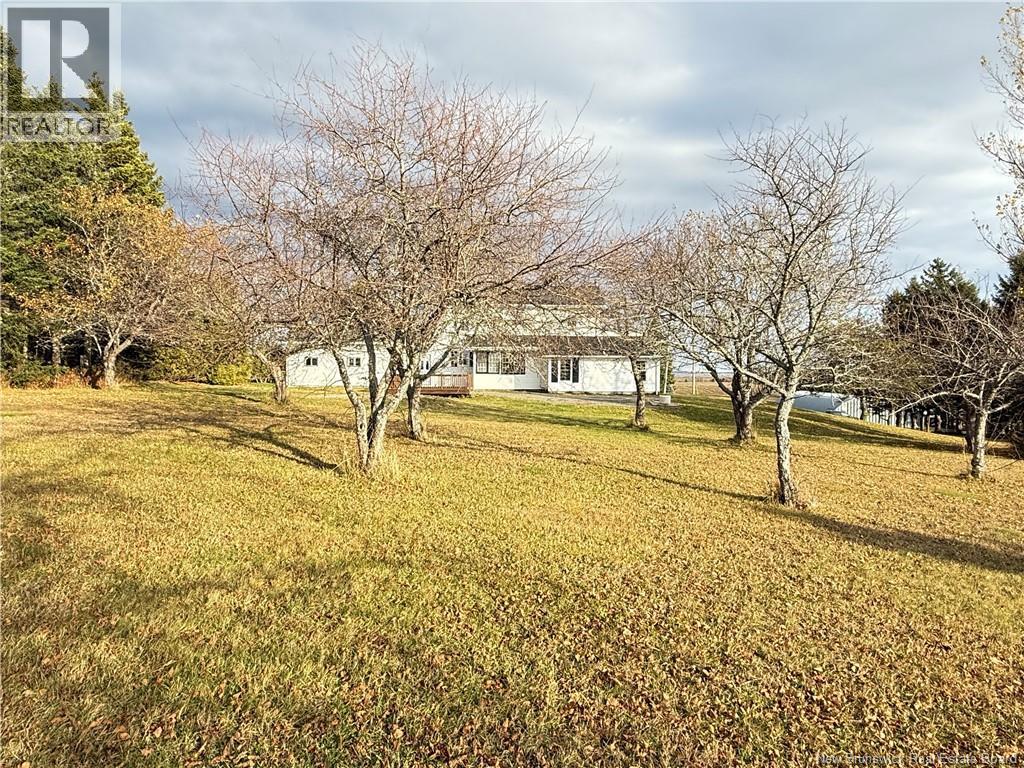 312 Route 255 Property Photo 50