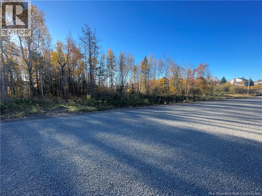 Lot 20-1 Roy Scenic Drive Property Photo 2
