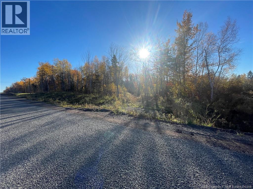 Lot 20-1 Roy Scenic Drive Property Photo 3