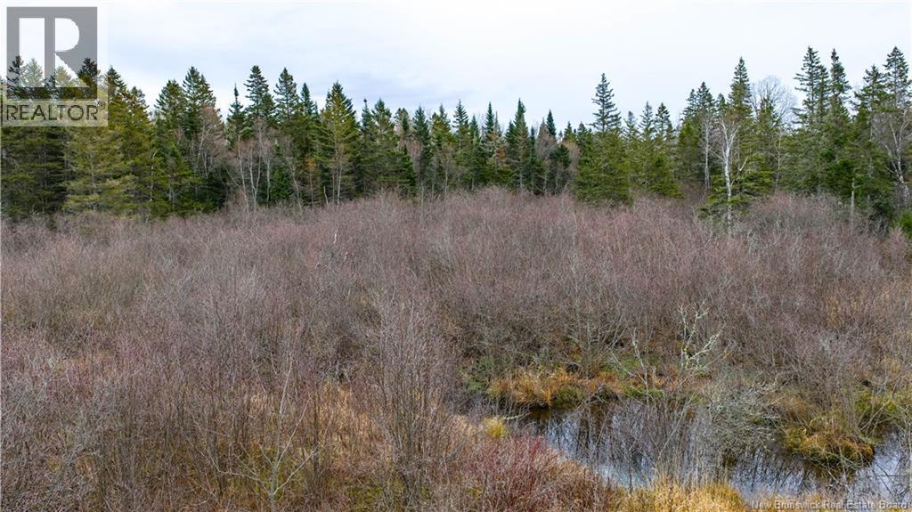 Lot 2019-1 Route 121 Property Photo 13