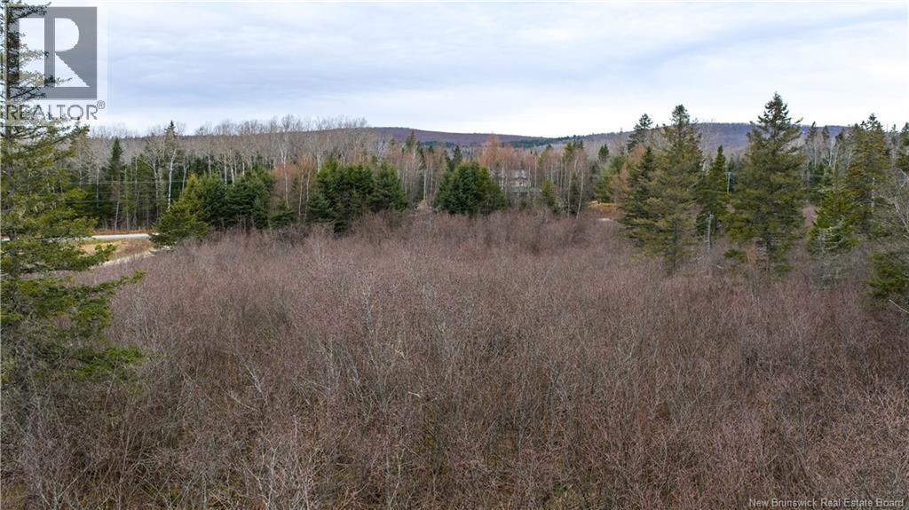 Lot 2019-1 Route 121 Property Photo 14