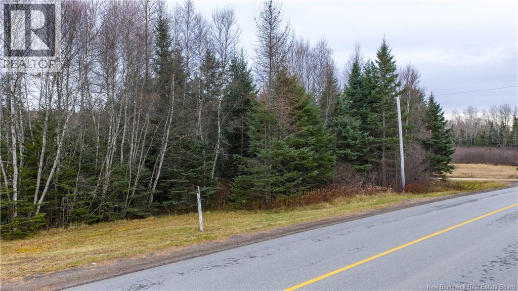 Lot 2019-1 Route 121 Property Photo 15