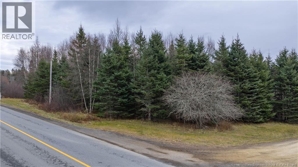 Lot 2019-1 Route 121 Property Photo 16