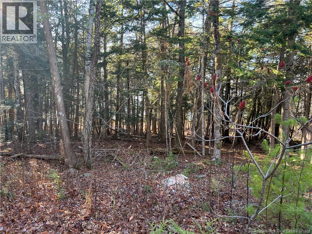4 Pamela Lane Property Photo 6