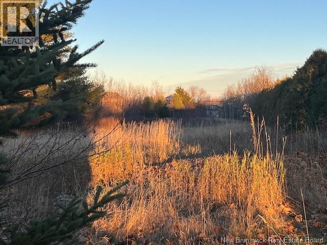 Lot Rue Principale Property Photo 1
