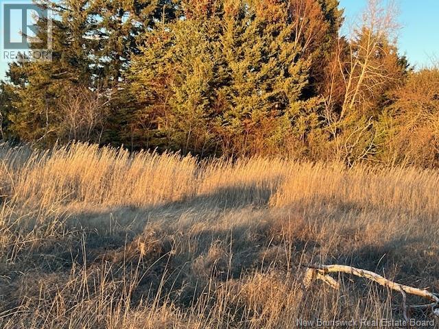 Lot Rue Principale Property Photo 4