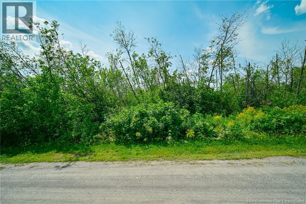Lot 3 Cnr Road Property Photo 5