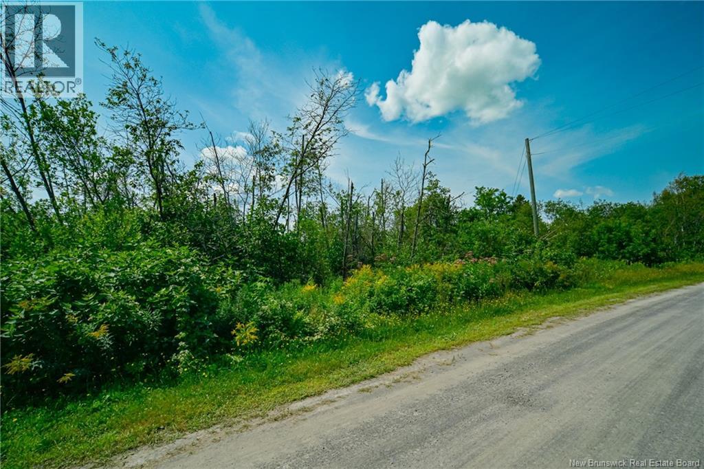 Lot 3 Cnr Road Property Photo 6
