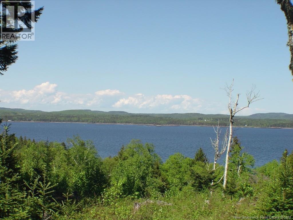 LOT 38 Kilmarnock Head