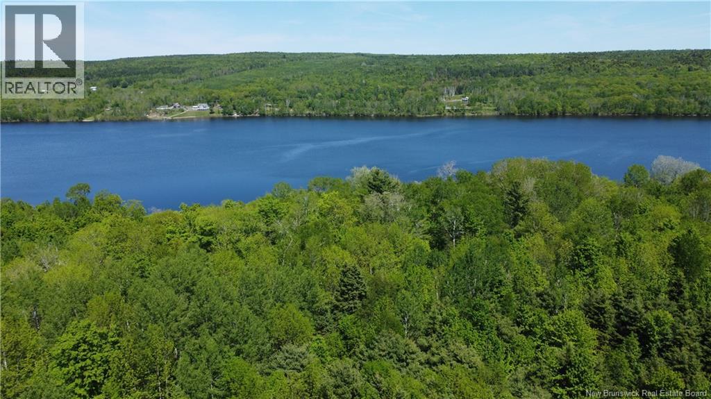 0 Route 165 Property Photo 2