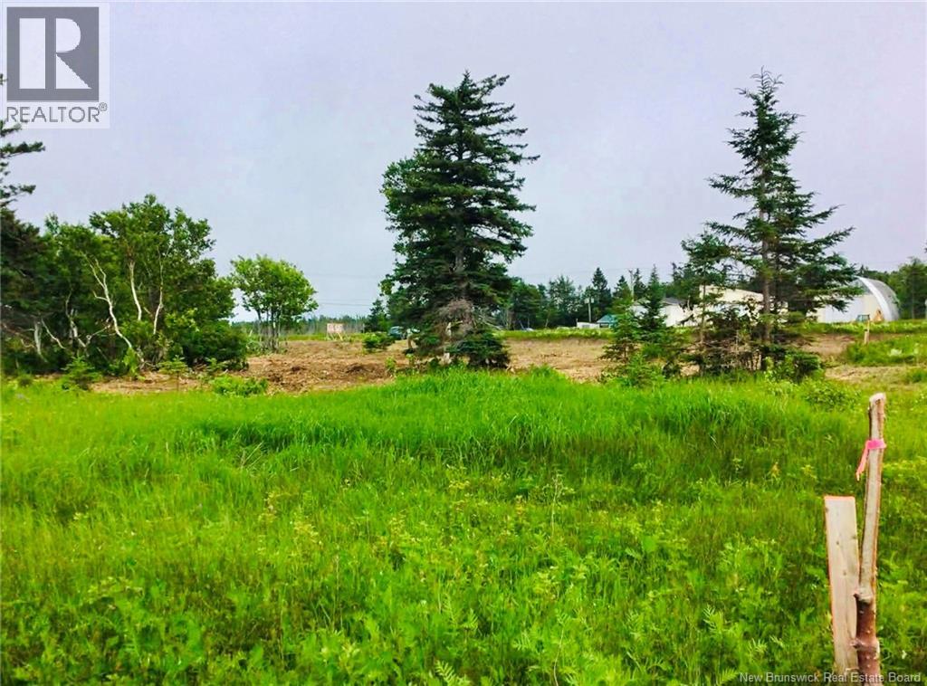 2.9 Acres Route 113 Property Photo 5