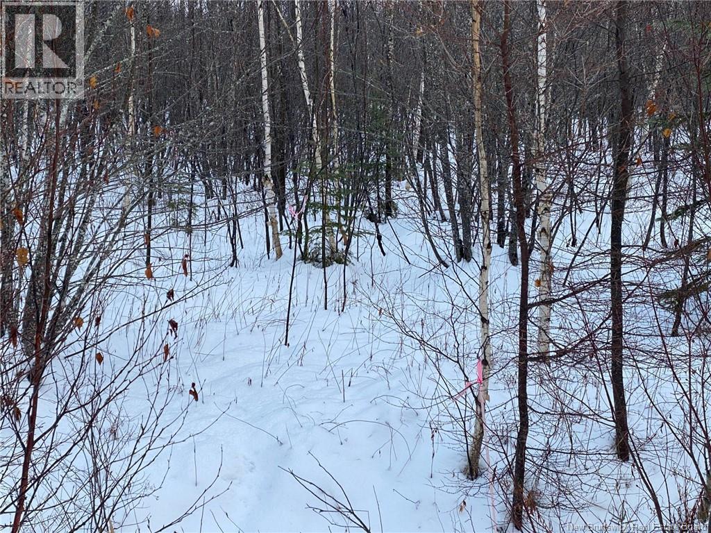 Lot 21-4 Waterway Road Property Photo 4