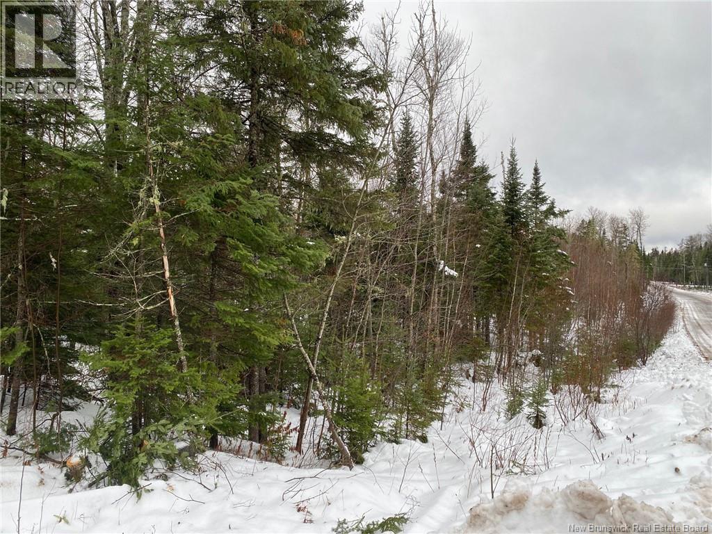 Lot 21-4 Waterway Road Property Photo 12