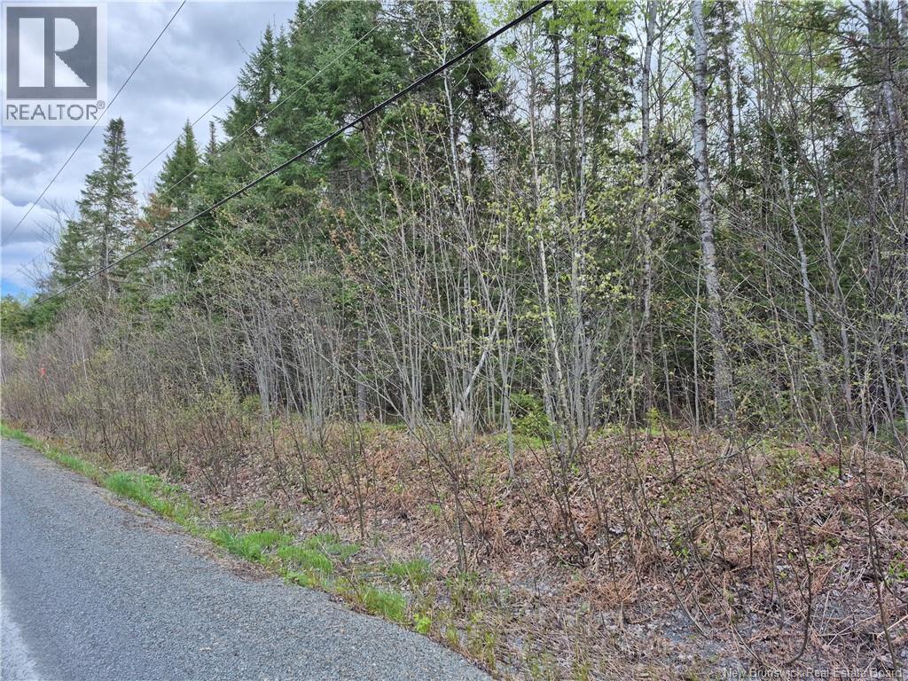0 Banks Road Property Photo 3
