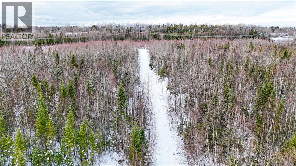 Lot Pine Glen Road Property Photo 10