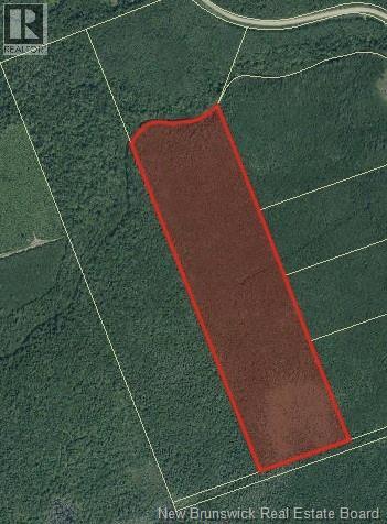 Lot Emerson (back) Road Property Photo 1