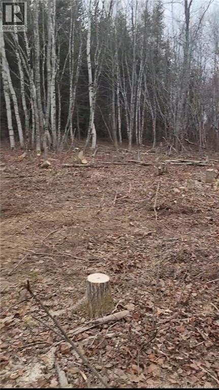 5701 Route 495 Property Photo 5