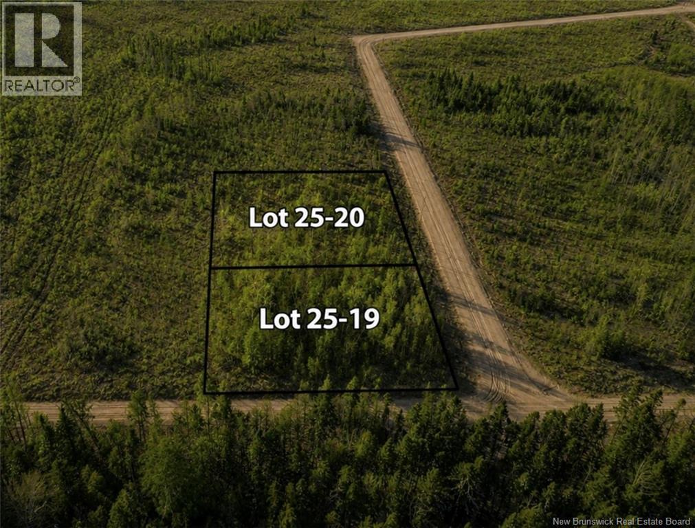 Lot 25-19 Hannay Property Photo 4