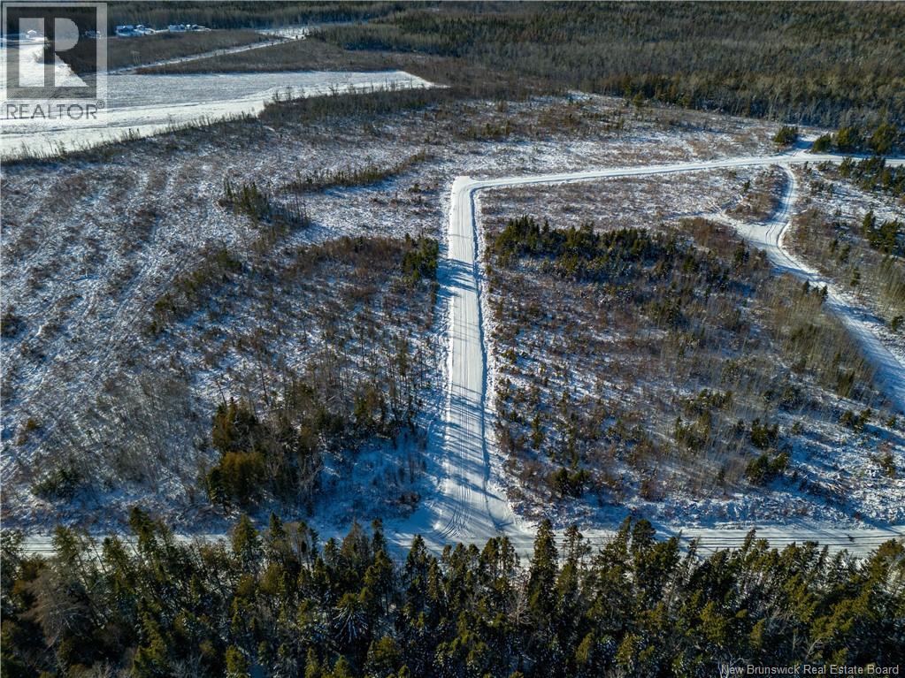 Lot 25-19 Hannay Property Photo 11