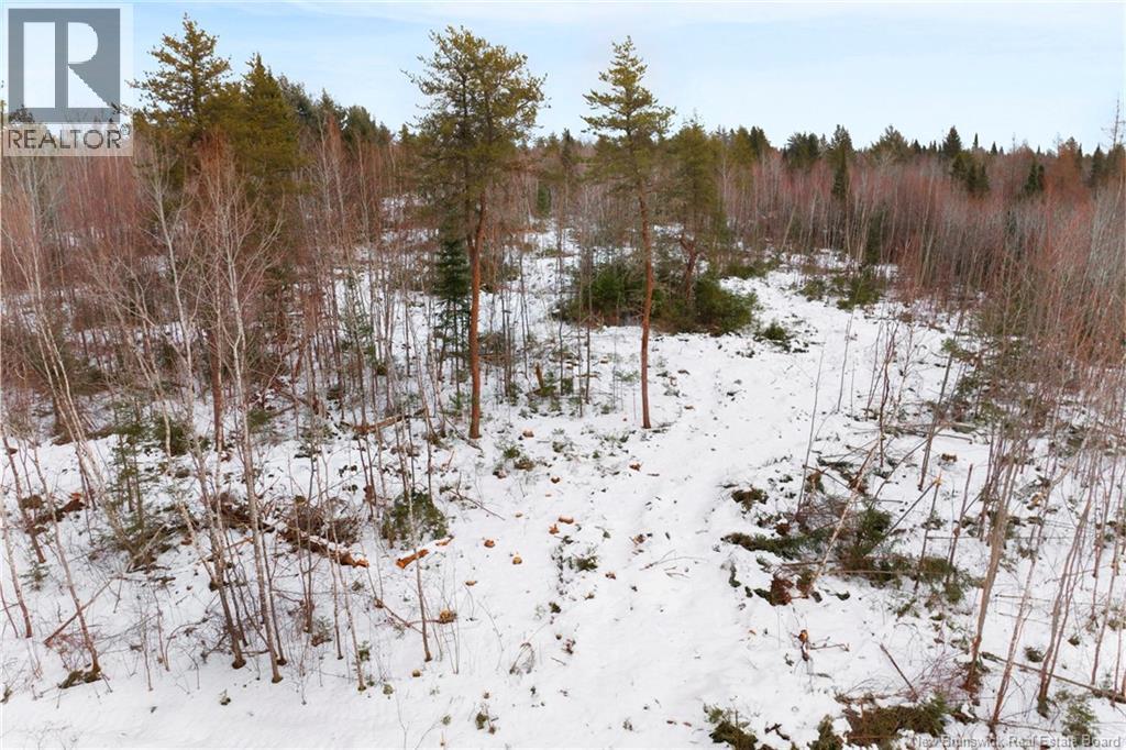Lot 25-2 Cumberland Bay North Road Property Photo 11
