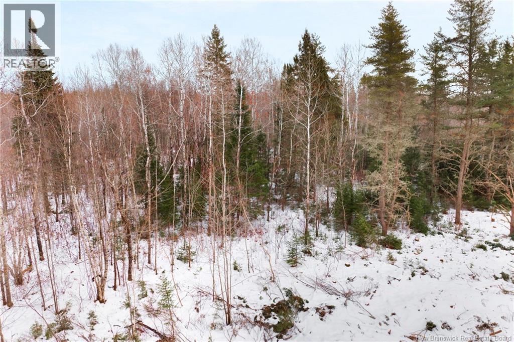 Lot 25-2 Cumberland Bay North Road Property Photo 12