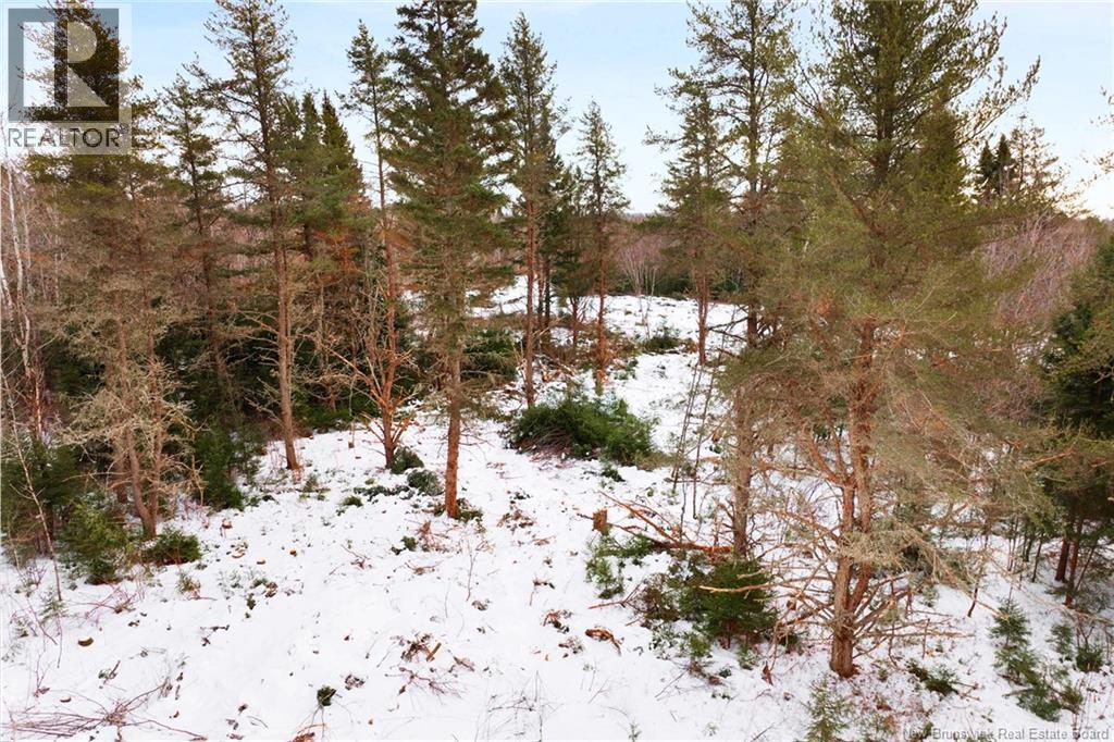 Lot 25-2 Cumberland Bay North Road Property Photo 13