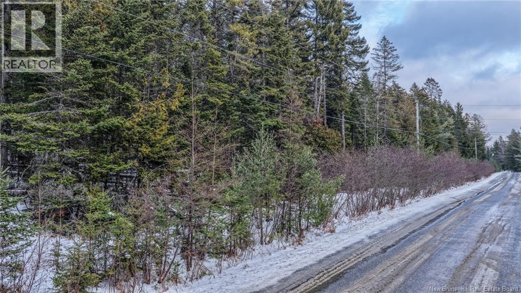 Lot Todds Point Road Property Photo 4