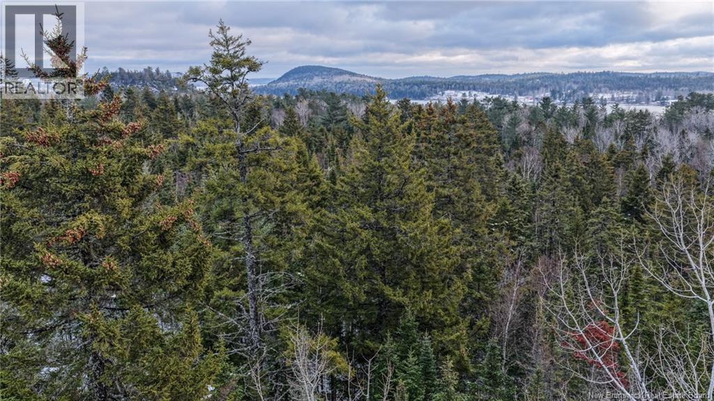 Lot Todds Point Road Property Photo 12