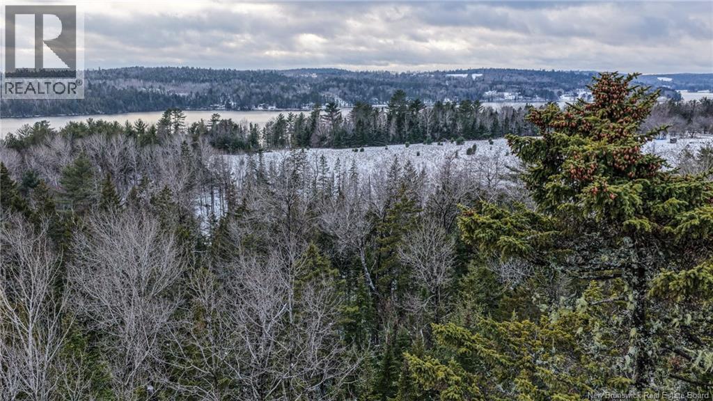 Lot Todds Point Road Property Photo 13