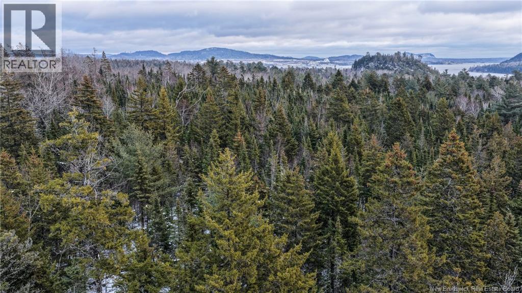 Lot Todds Point Road Property Photo 14
