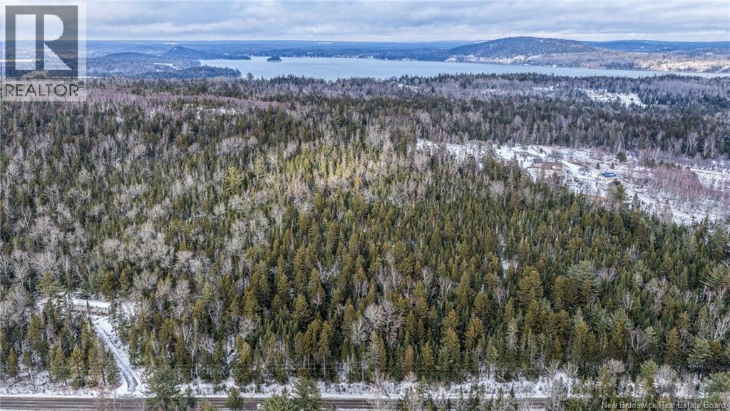Lot Todds Point Road Property Photo 21